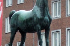 DSCF4256