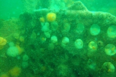 DSCF5849