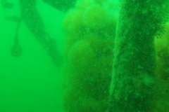 DSCF5889