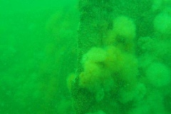 DSCF5904