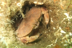 DSCF5929