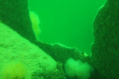 DSCF5952