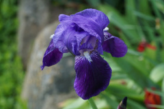DSC02496