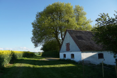DSC02729