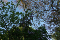 DSC02805