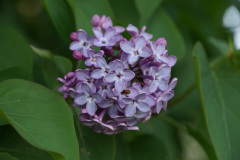 DSC02808