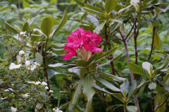 DSC02871
