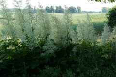DSC03089