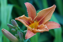 DSC03180
