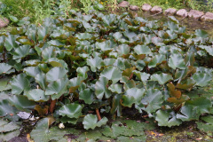 DSC03198