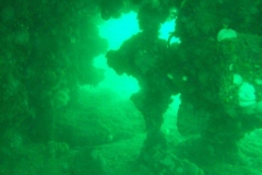 DSCF5763