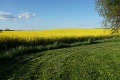 DSC02785