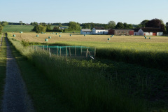 DSC02906