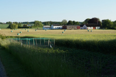 DSC02908