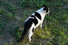 DSC02914