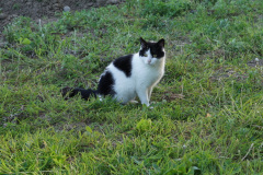 DSC02918