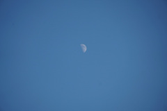 DSC03138a