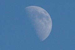DSC03138b