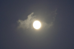 DSC03139a