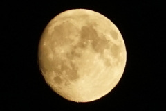DSC03139b
