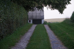 DSC07513
