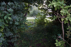 DSC07516