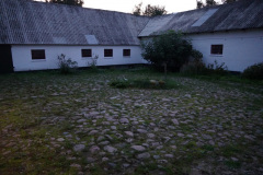 DSC07518