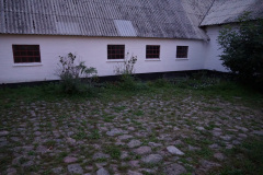 DSC07519