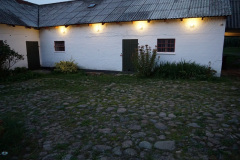 DSC07520