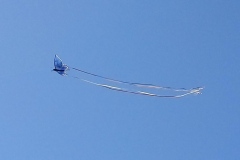 IMG_20170910_143600