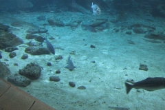 116-1657_IMG