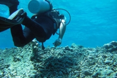 DSCF7452