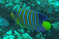 DSCF7488