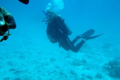 DSCF7516