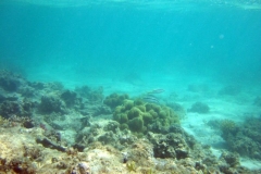 DSCF7683