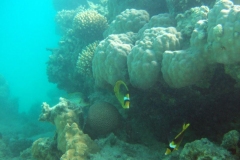 DSCF7717
