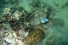 DSCF7941