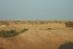 DSCF7766