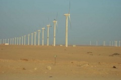DSCF7767