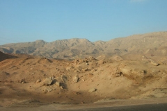 DSCF7802