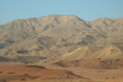 DSCF7804