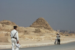 DSCF7874