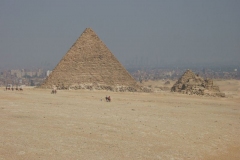 DSCF7899