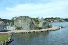 DSCF6317