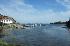 DSCF6319