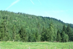 DSCF6338