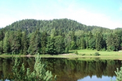 DSCF6344