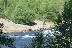 DSCF6368