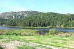 DSCF6369