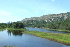 DSCF6371
